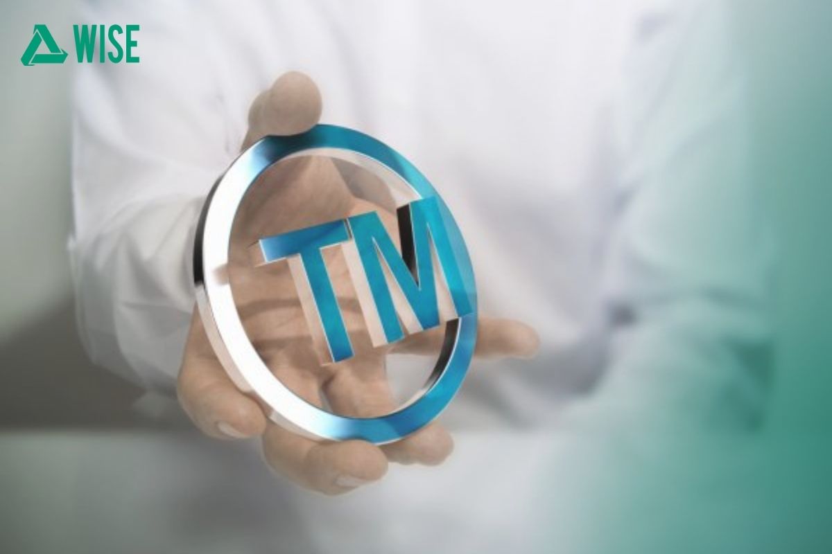 Класи торгових марок МКТП.