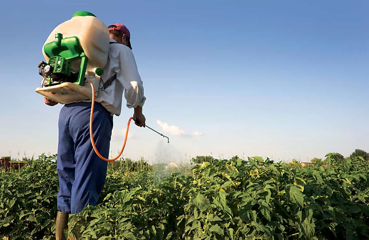 pesticides